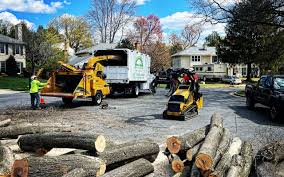 Best Hazardous Tree Removal  in Lancaster, KY