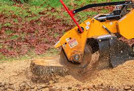 Lawn Grading and Leveling in Lancaster, KY