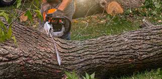 Best Soil Testing and Treatment  in Lancaster, KY