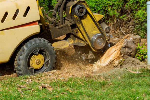 Best Soil Testing and Treatment  in Lancaster, KY