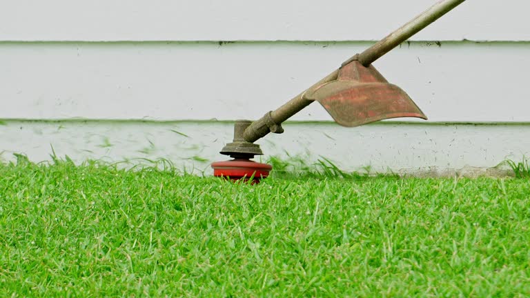 Artificial Turf Installation in Lancaster, KY