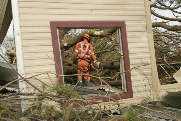 Best Tree Preservation Services  in Lancaster, KY