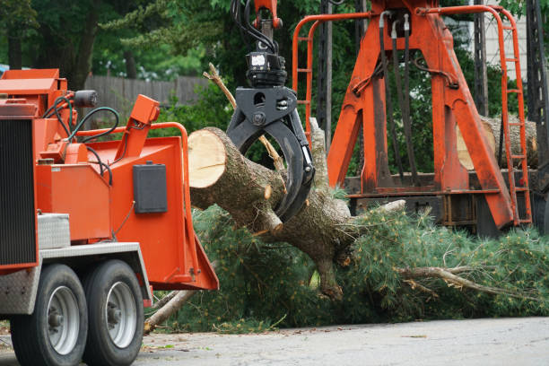 Best Aeration Services  in Lancaster, KY