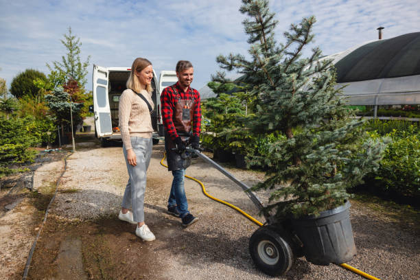 Best Tree Risk Assessment  in Lancaster, KY