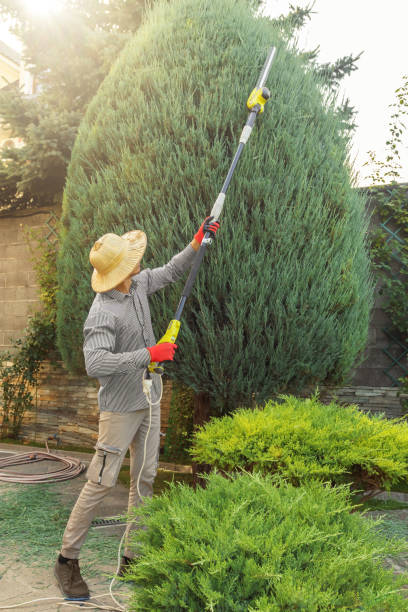 Best Artificial Turf Installation  in Lancaster, KY